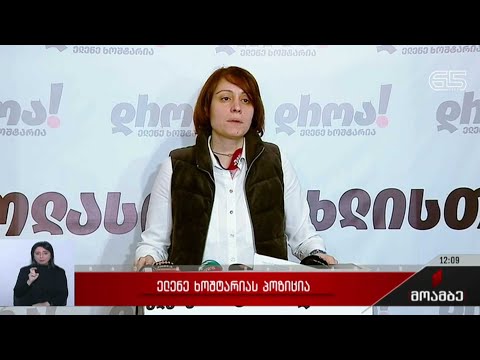 ელენე ხოშტარიას პოზიცია